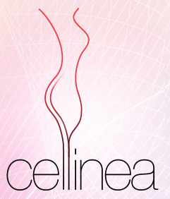 Cellinea Gutschein