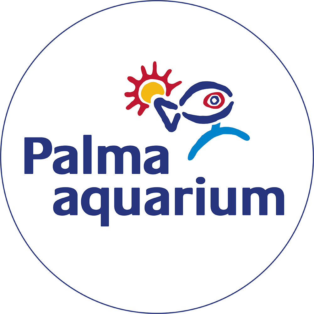 Palma Aquarium Gutschein