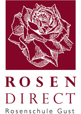 Rosen Direct Gutschein